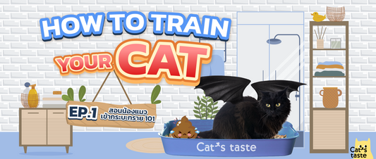 How to train your cat EP.1 แชร์ทริค (ไม่) ลับ ฝึกหัดน้องแมวสำหรับนุดมือใหม่